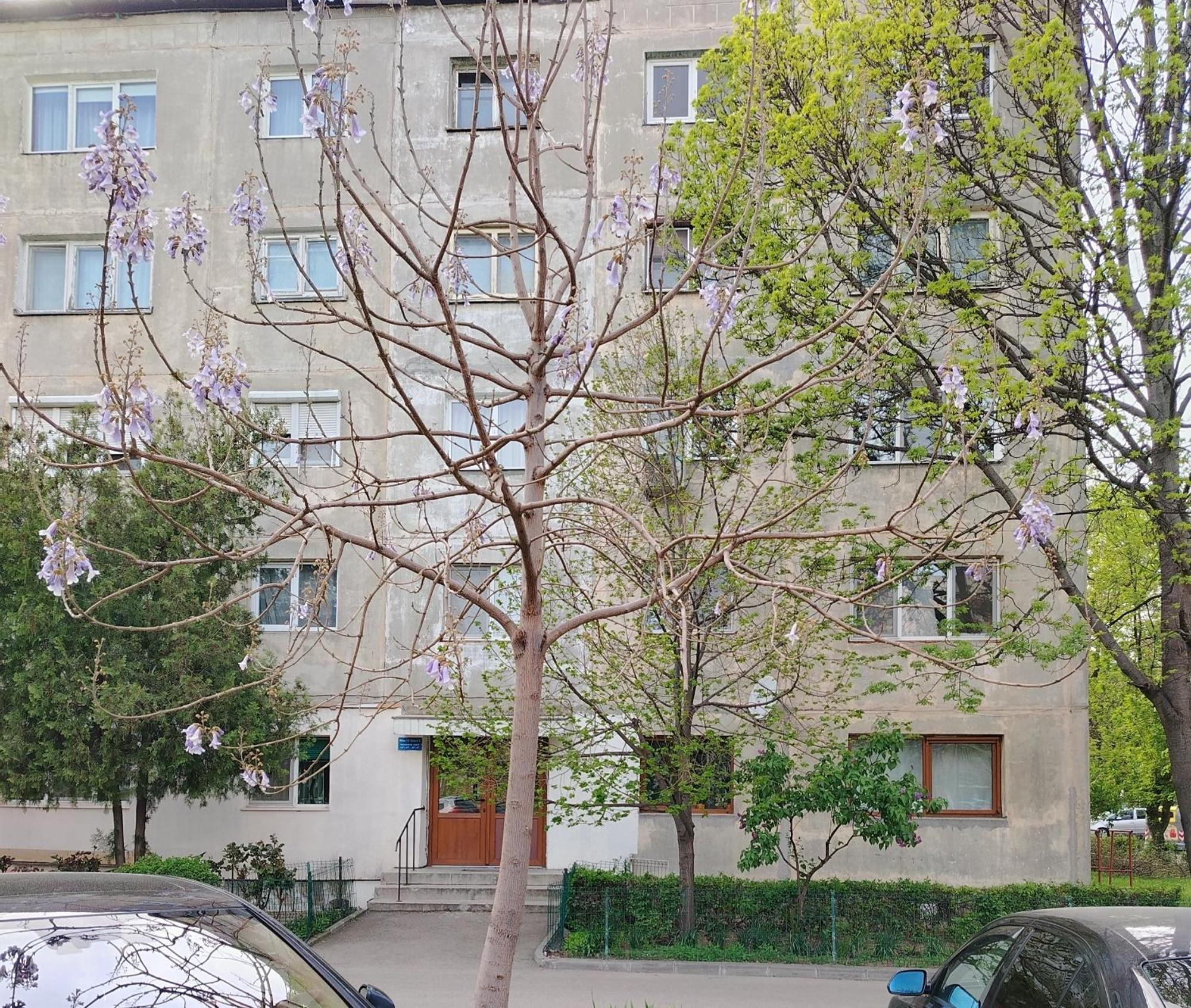 Arka Apartment Craiova Exterior photo